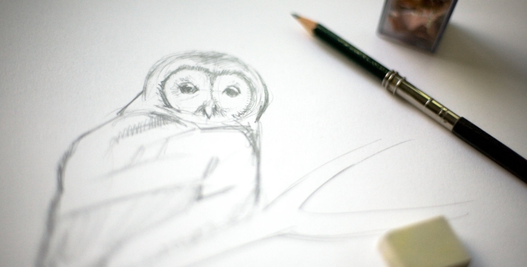 owl pics to draw